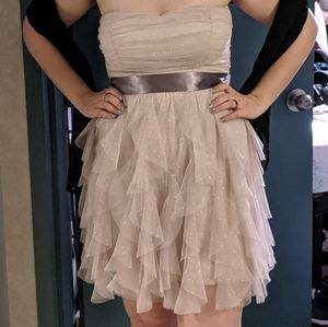 Sparkly Strapless Dress